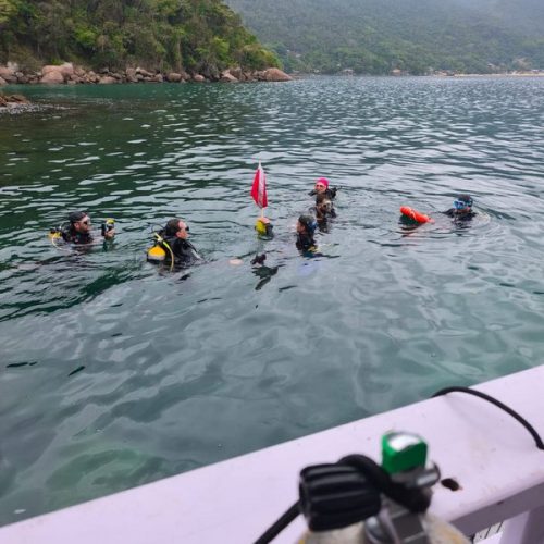 03d315c5-de88-43e6-93c7-3f451017f893