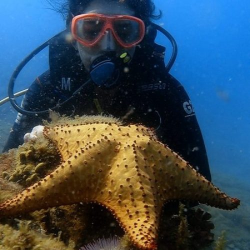 0674cc93-479a-486d-93f7-36367baf83c1