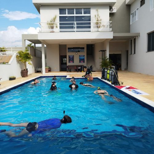 069183fe-586e-48a1-ad6e-caaed42252a6