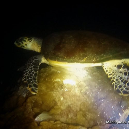 0764c823-bf20-4b6a-a962-68ab6ebd00f7