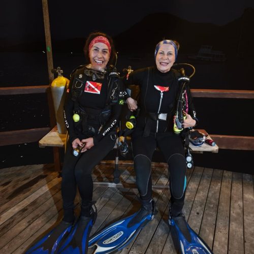 11fd3886-e810-4a7e-914a-b7e40974c307