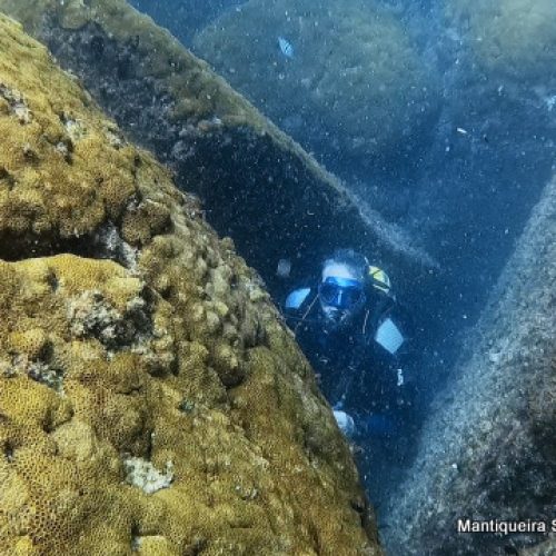 15a905c6-5bef-4363-a494-271fb33c990b