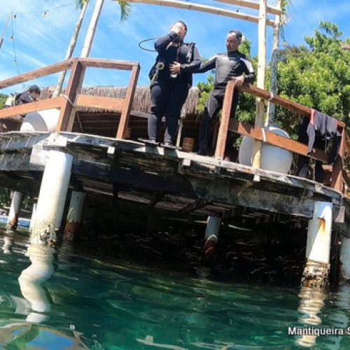 17d9552a-602a-4eff-84fa-7b95acd57b5b