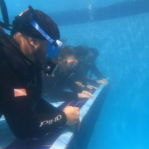 18801e81-7692-4f89-8588-9a2a9afa9c35