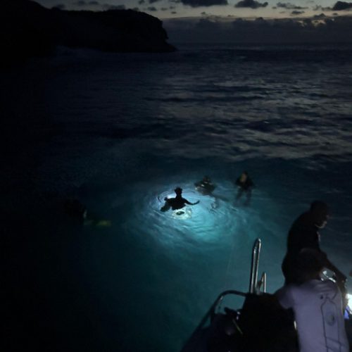 1a08c7d3-6f9b-4d3a-a62a-2031cd1419a1