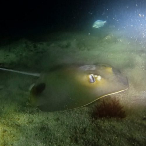 1c5a0afc-5107-4a07-8668-faf3b2b1e57c