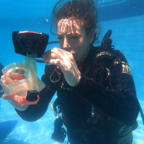 1d1c497b-b865-4ded-a168-00f405790bf7