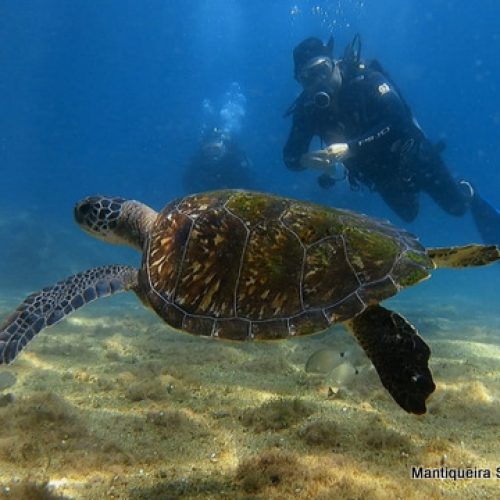 1d528898-47f4-460c-9829-2c7a9575820a