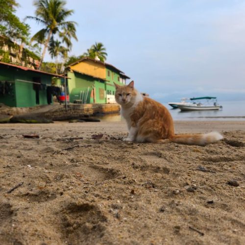 1e59895a-f6ea-4625-b78f-1b47f9003cc6