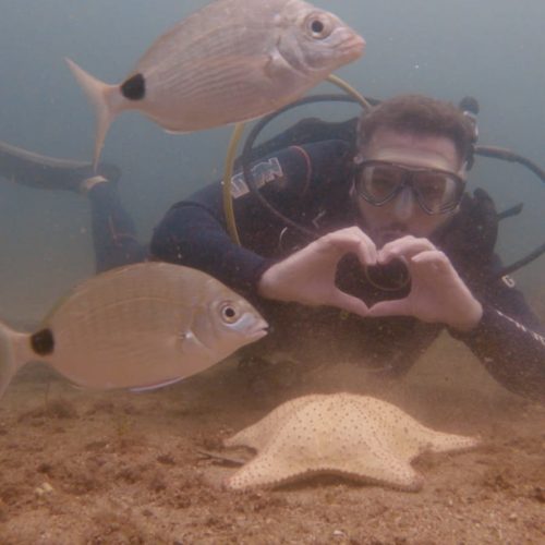 206bf516-e402-4bda-8846-ef694a14be78