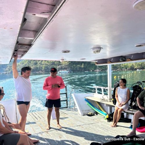 236bf384-09d1-4733-a9ad-6e0d1ab6ea28