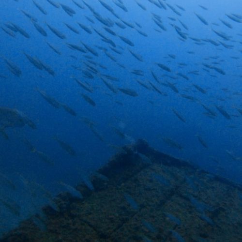 2d273b02-afa7-4198-b67c-526944117b82