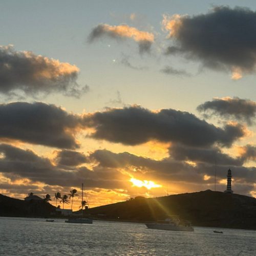 3352f9d2-4c08-4abb-9130-87d74dd7efe3