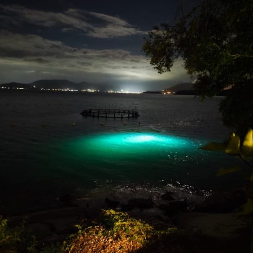 36ce73c5-899f-4cd9-84d2-e22ee5b9edc4