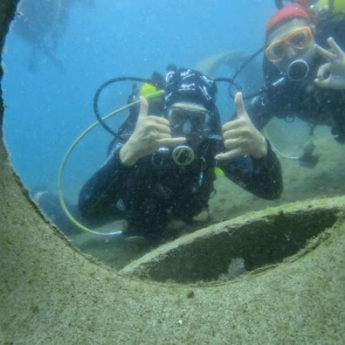 37b9dda7-17d4-47c5-a1a7-72d3719fb028