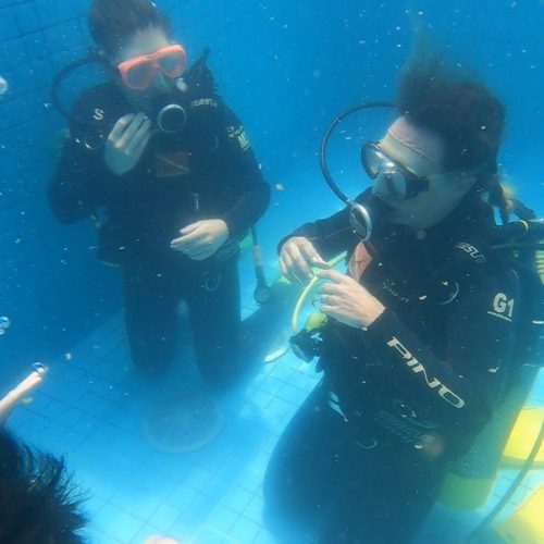 40bacd32-311d-4da0-a5fb-56228600c82f