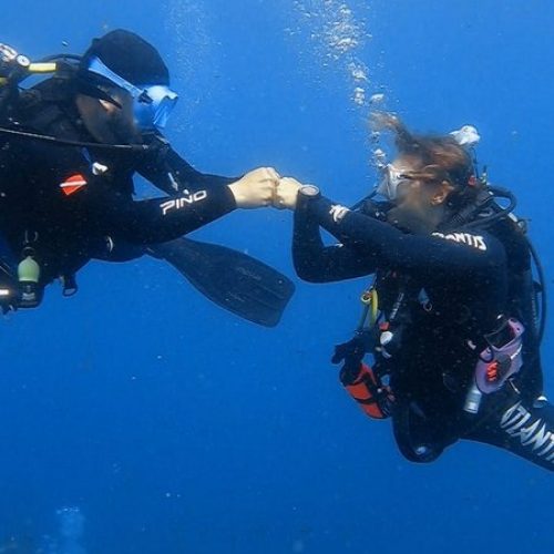 41804782-4a64-4bcc-bb49-e93af70055ee