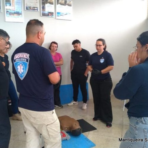 41b67c57-a62c-4a39-9401-ad306ef81e73