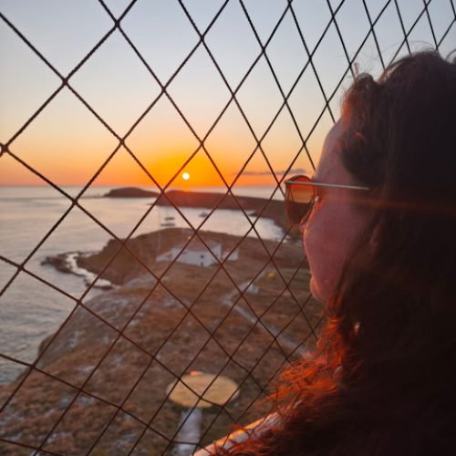 427ae514-5e25-4925-a976-5c86bc5747a0