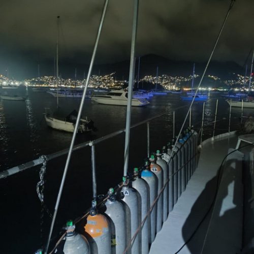 45736c98-fc4a-4874-ad2b-55b45900d42a