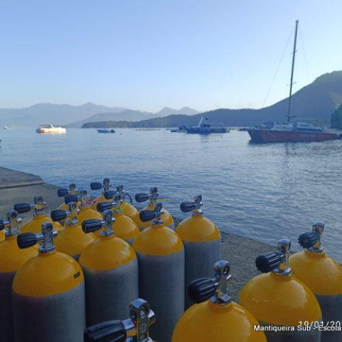 50bae711-337f-4941-84b1-a53d6cfa2f52