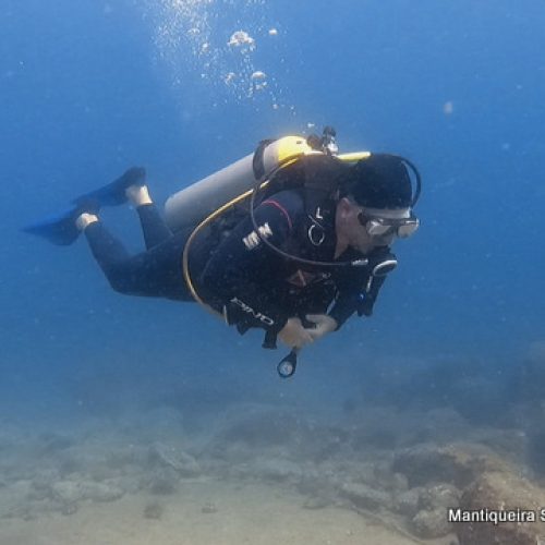 55242641-92d9-4a27-a0d0-d23d10d96085