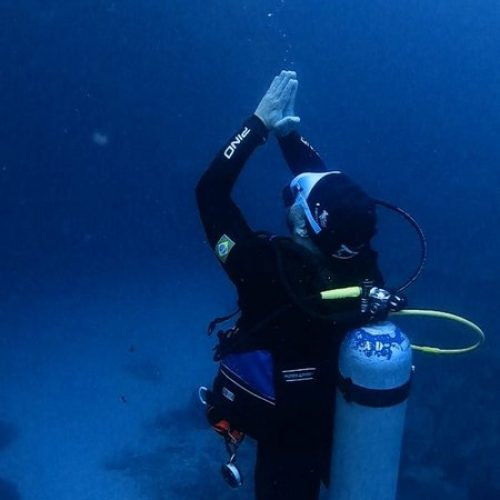 6009fcef-ee81-4284-bfc6-22e60ff76851