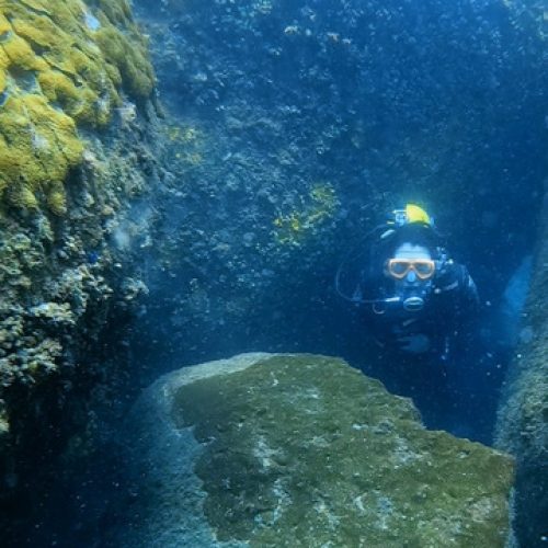 6d396d01-7581-4f46-9427-7e87dc05e0d8