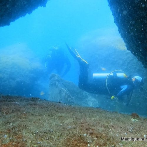 71c10d45-3bff-4ddc-9db6-a3a75181327e