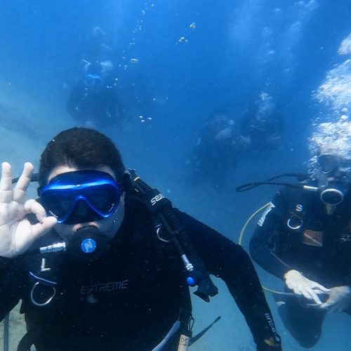 746f4ded-4614-40f4-8360-e0dc942f0220