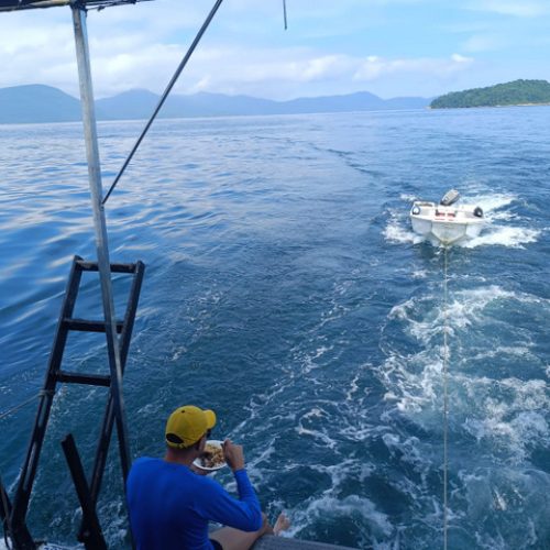 75f382d8-d145-4149-9f3c-8777cc7358ca