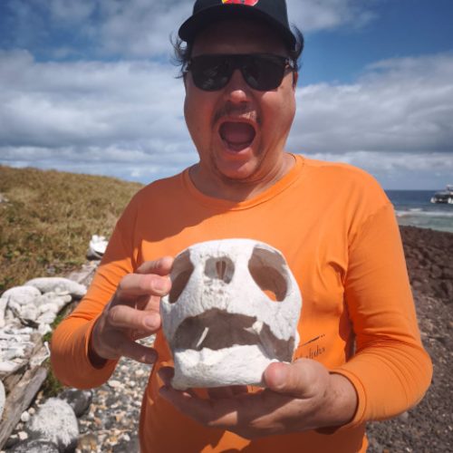 807c3ea0-df17-494e-8a7a-e41440940fe8