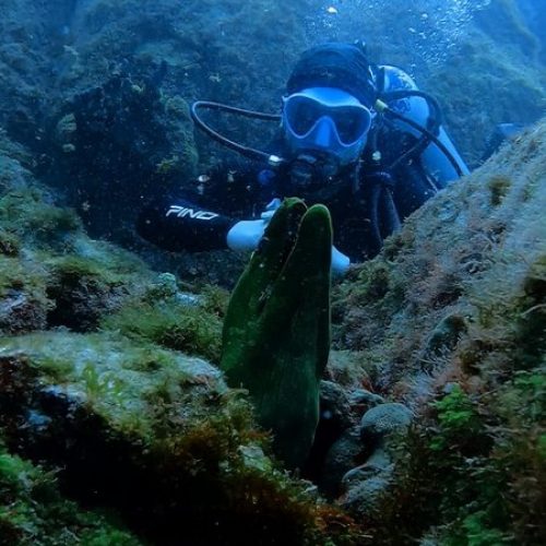 81adccfa-96cd-4cb2-9264-e9e76a82fcba