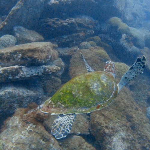 821cc2a0-0dd1-4972-8c54-2bb48d1f674e