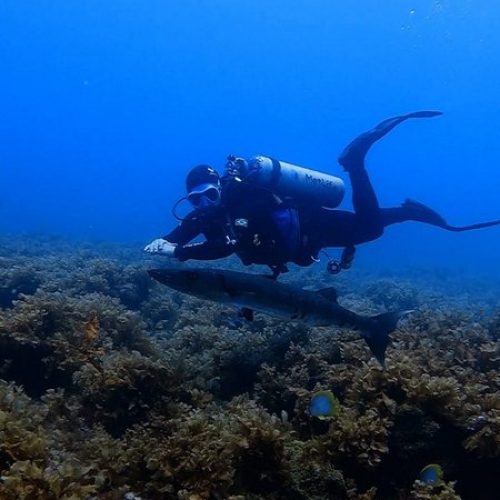 87662428-ec2a-4e83-82a7-740e1797eae3