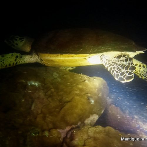 889b0b05-bf73-4c8e-bd70-0e5035bfa888