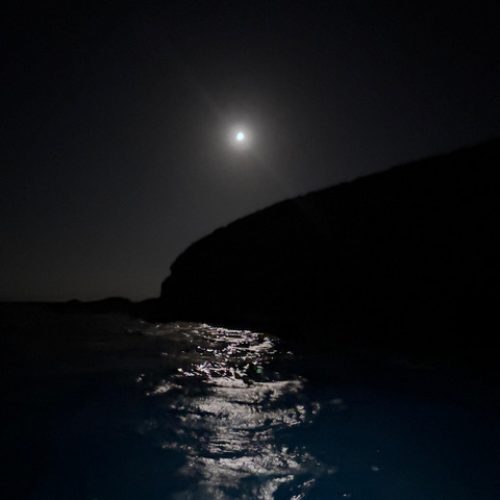 8a2e41bf-f29a-472c-a674-5a56ccf70f2f