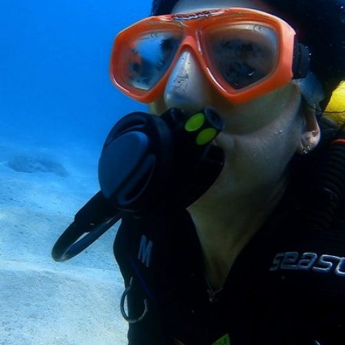 8cb27d22-7055-4c64-bd8c-506daf0cd364