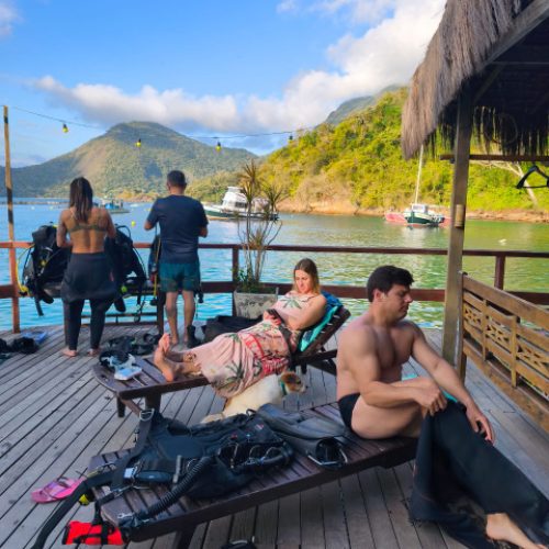 8d41a461-225e-4422-acc1-922323d5bc04