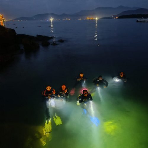 923b15a0-4a9b-4d94-a4c6-1bd7899c86ba