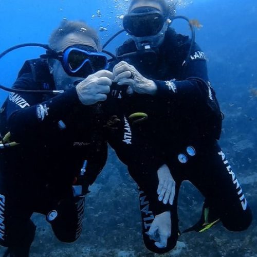 954d7f5a-6332-4c3a-937d-bbe2f1843b36