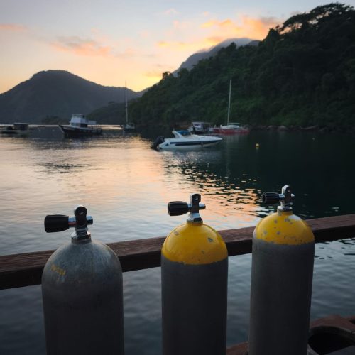 98e9a79c-c9e0-4eb3-9650-26d40e405ebb