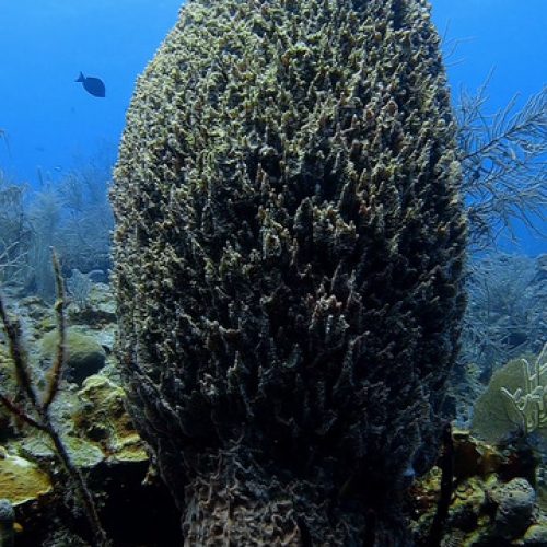 GH011866_1749775450480