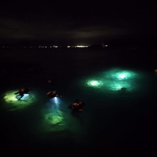 a618931e-b8a0-4d15-bf12-1968d8eae0bf