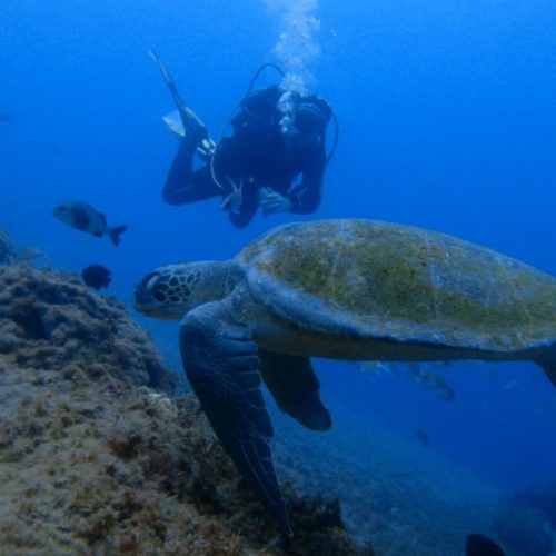 a6ed803f-f8fc-4576-8d55-81cd6541c85d