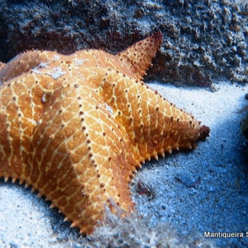 a7f60cec-aa7f-4529-9b58-797246b5fab5