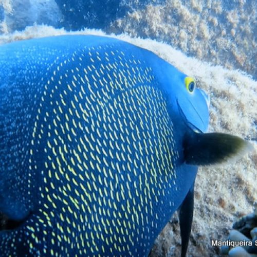 abd66c1b-110b-490e-a5db-16fa9fa08d7f