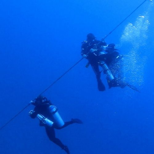 ad8777c3-9ee2-46b6-ab44-5608bbf03af2