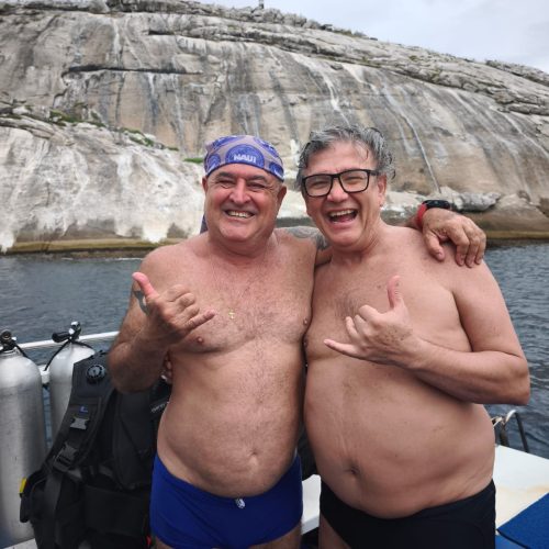 b6c50c1f-9d43-445e-9510-8da39f42dabe