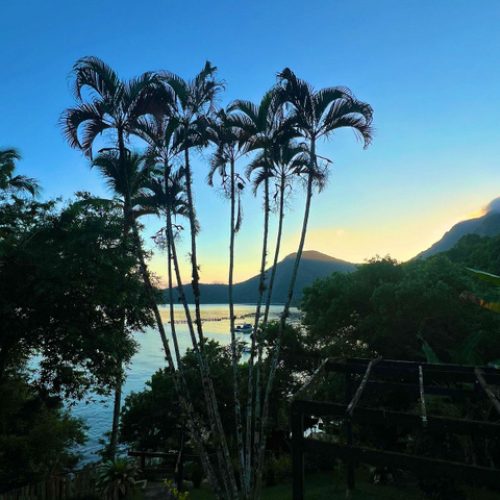 b8e50ad2-d712-4042-9374-fee7b3452cb6